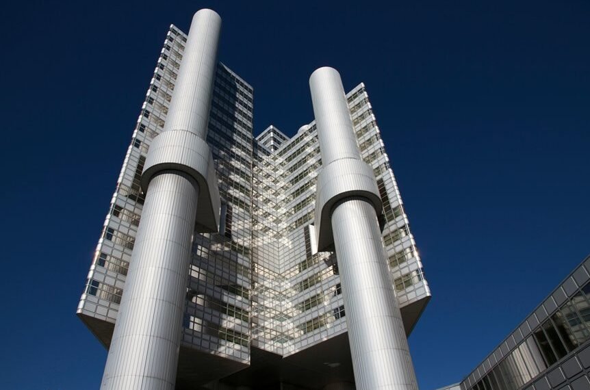 backlink growth and authority