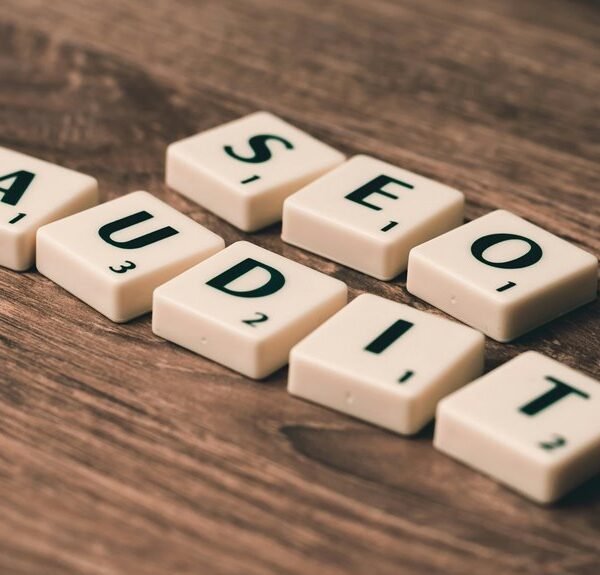 seo plan for authority